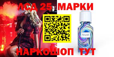 индика Лесосибирск