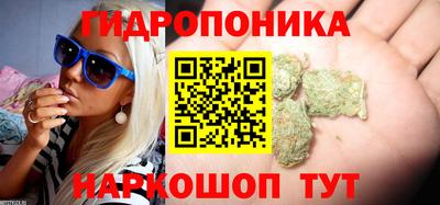 индика Лесосибирск