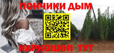 индика Лесосибирск