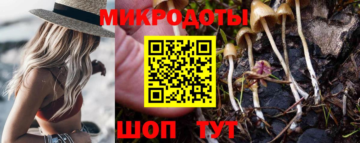 Краснознаменск  Псилоцибиновые грибы MAGIC MUSHROOMS  Галлюциногенные грибы мухоморы  Вход с VPN 